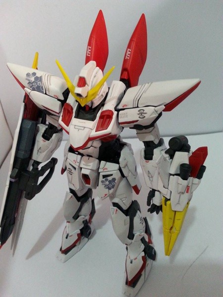 Blitz Gundam Custom