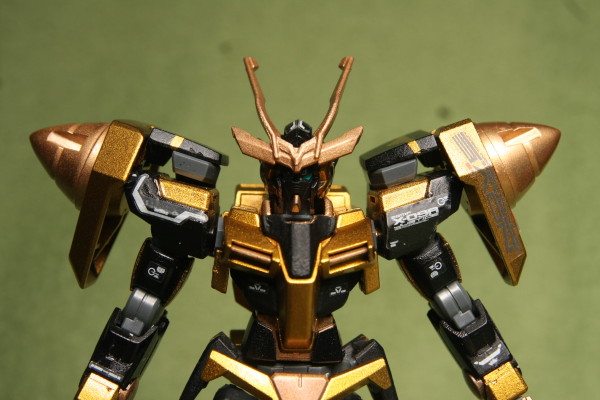 HG 1/144 GN-0000 Gundam Custom